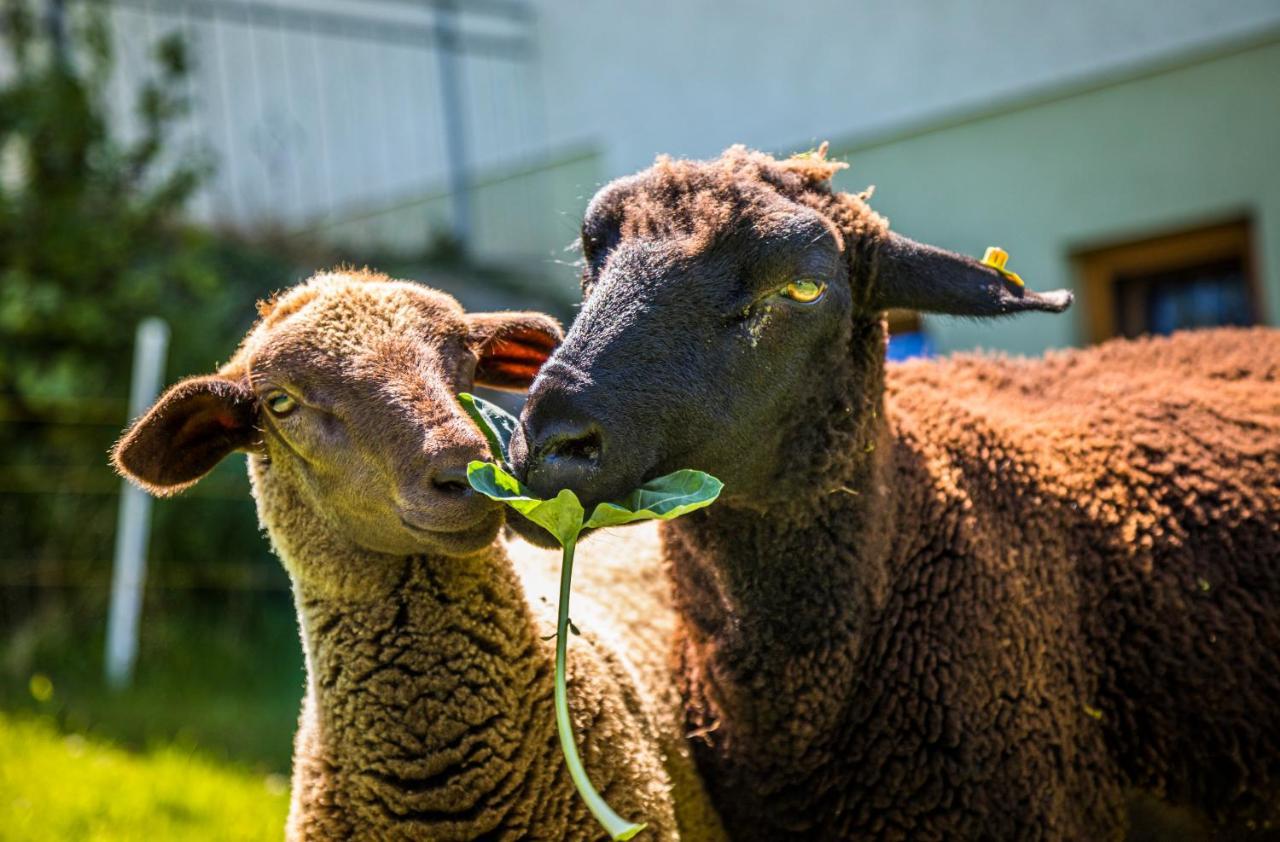 Ferienwohnung Weidinghof Sankt Veit im Pongau Exterior foto