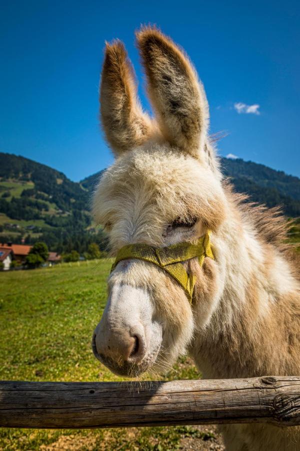 Ferienwohnung Weidinghof Sankt Veit im Pongau Exterior foto