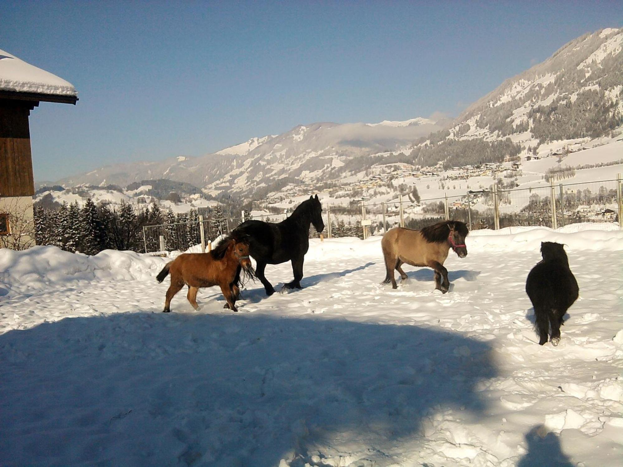 Ferienwohnung Weidinghof Sankt Veit im Pongau Exterior foto